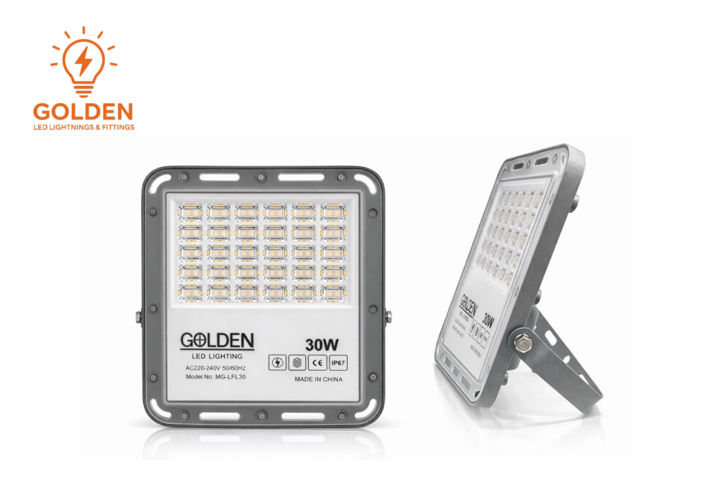 30W Led Floodlight